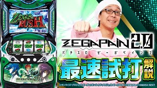 パチスロ　ゼーガペイン　引き取り限定 ゼーガペイン2 スロット