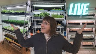 Live Seedling Room Tour