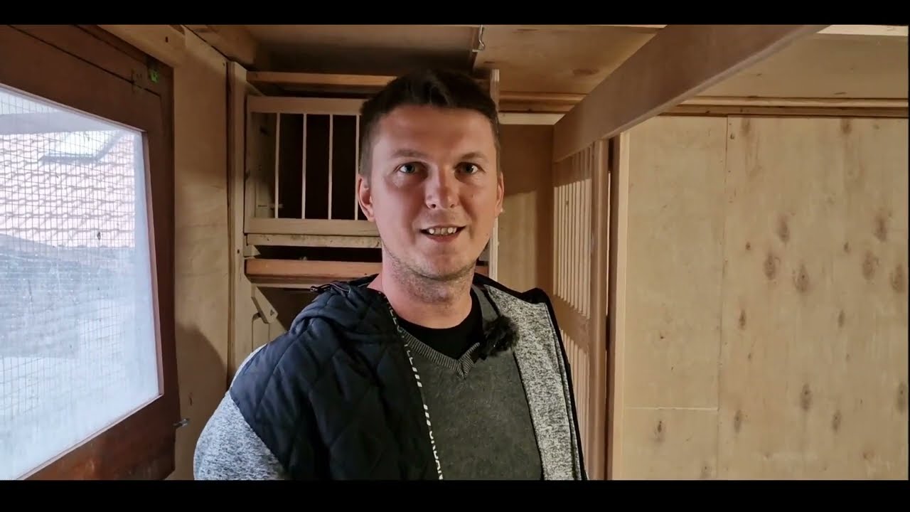 Praktycznie o gołębiach - opowiada kol. Stanisław - Jak prowadzić gołębie?