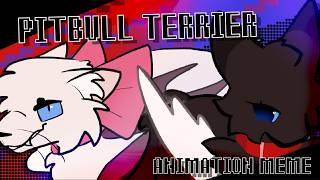 PITBULL TERRIER | Animation meme | COLLAB!