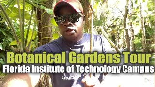 Botanical Gardens Tour on Florida Institute of Technology Campus