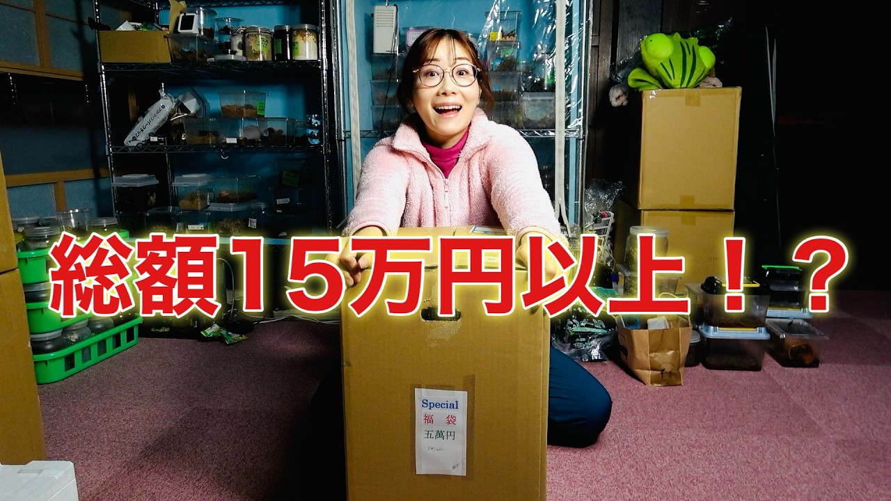 秋田にある昆虫ショップの福袋を買ったんだけど予想の右斜め上をいく中身で震えた
