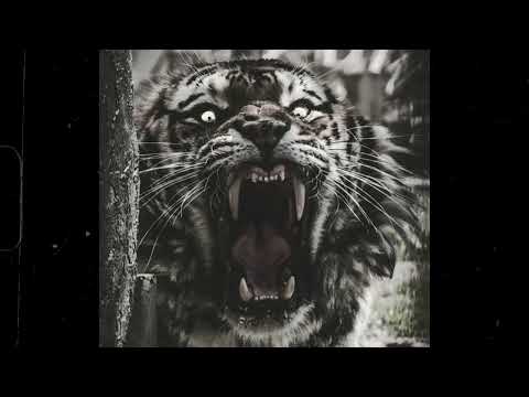 FREE Dark Boom Bap Type Beat Hunt 