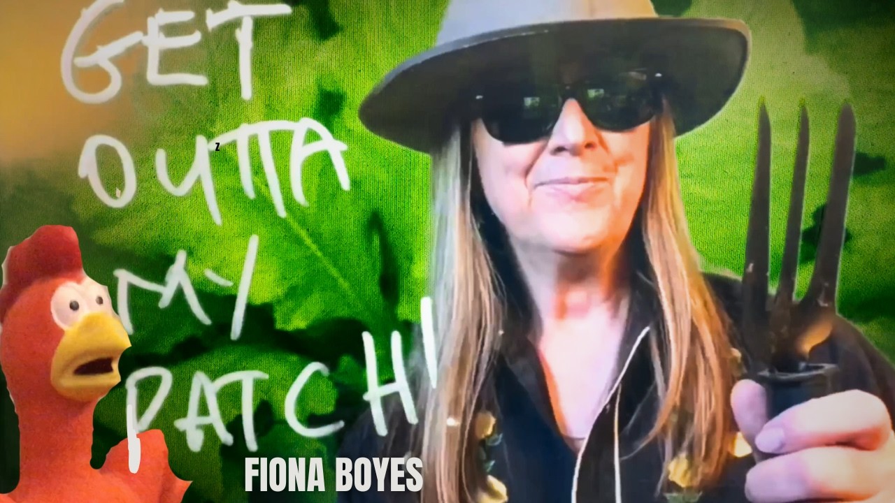 Смотреть «'Turnip Patch' - Fiona Boyes: 3 string cigarbox guitar & percussion. Handmade Anti Ai directors cut!» на YouTube Смотреть «'Turnip Patch' - Fiona Boyes: 3 string cigarbox guitar & percussion. Handmade Anti Ai directors cut!» на YouTube
