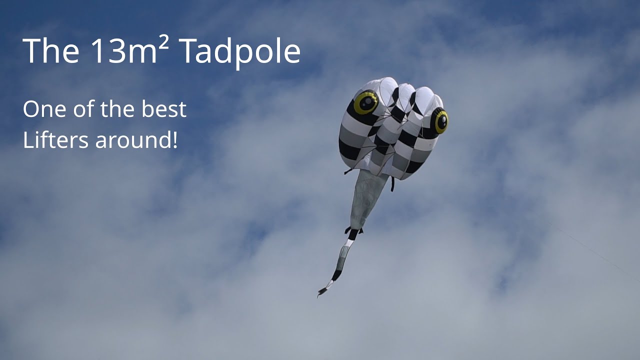 13m² Tadpole Kites lifting 18m Cobra and 7m Hammer-Head-Shark