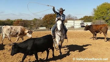 Aint Yo Average Boon - roping! - ValleyViewRanch.net