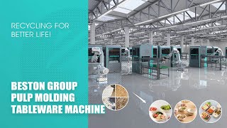 3D Video of Beston Group Pulp Molding Tableware Machine