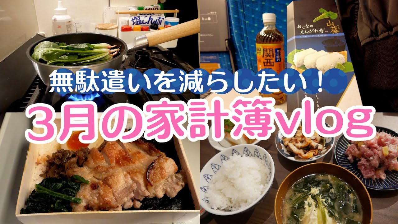 出費をしっかり把握せよ！3月の家計簿vlog その1