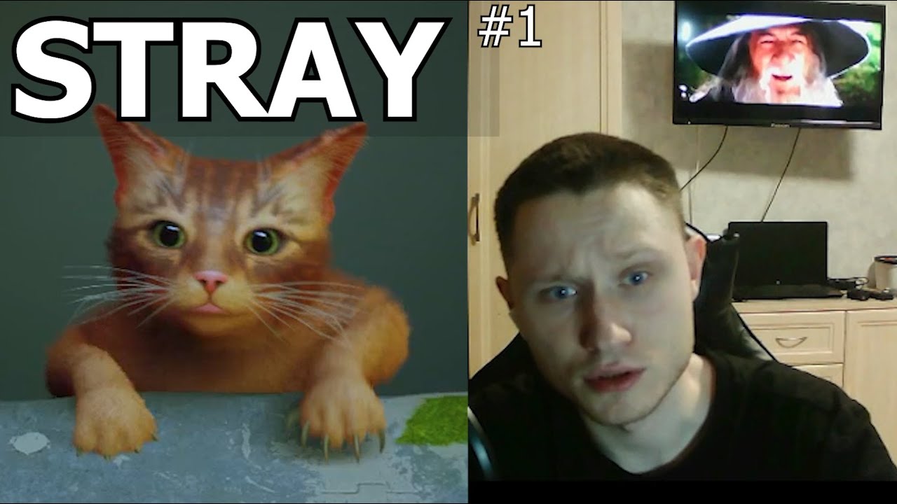 M4KENT ПРОХОДИТ STRAY (КОШАЧИЙ СВЕГ ЗАПУЩЕН) НА СТРИМЕ