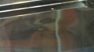 Satiko Kodama \u0026 Minako Takeno