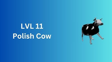 Noob to Pro - Hacker Rank