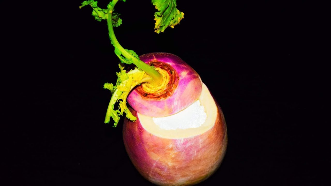 Средство, быстро останавливающее кашель: Натуральный антибиотик при фарингите, ангине и простуде.