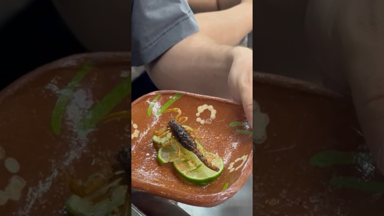 Dare to eat scorpions 🦂