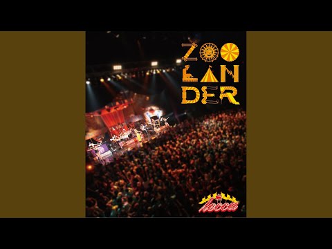 キラキラ (lecca LIVE 2013 ZOOLANDER)
