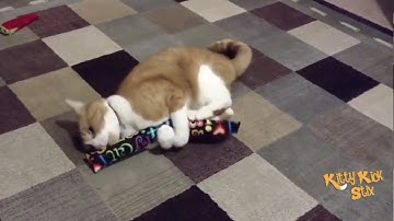 The Original KittyKickStix - 15" Catnip Kicker Toys