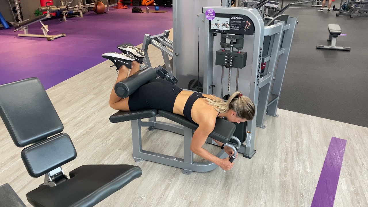 Prone Hamstring Machine Pin Loaded Prone Hamstring Curl Machine - YouTube