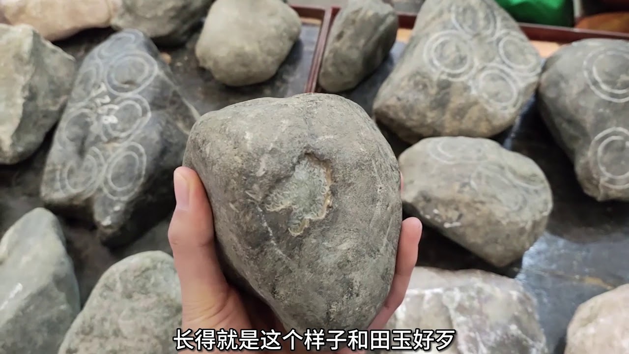 098新疆杂石种类有多少？玉商老板逛玉石展会来淘货，你更喜欢哪种