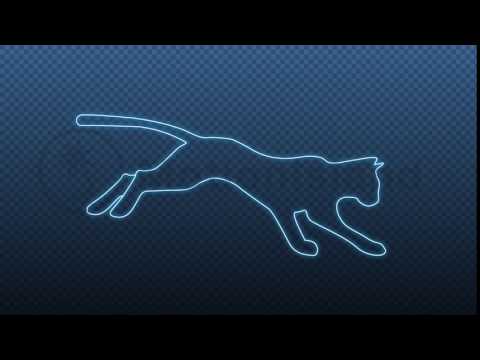 Cat running cycle Animation - After Effects Template Project
