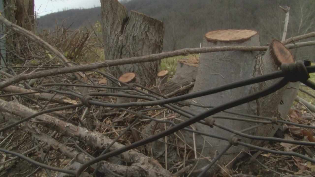 Erwin resident shares safety concerns along popular trail