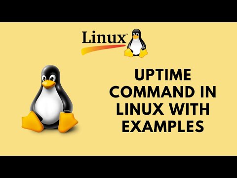 Uptime command in Linux with Examples - How to Check Uptime in Linux Command Line