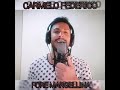 Carmelo Federico - Fore margellina