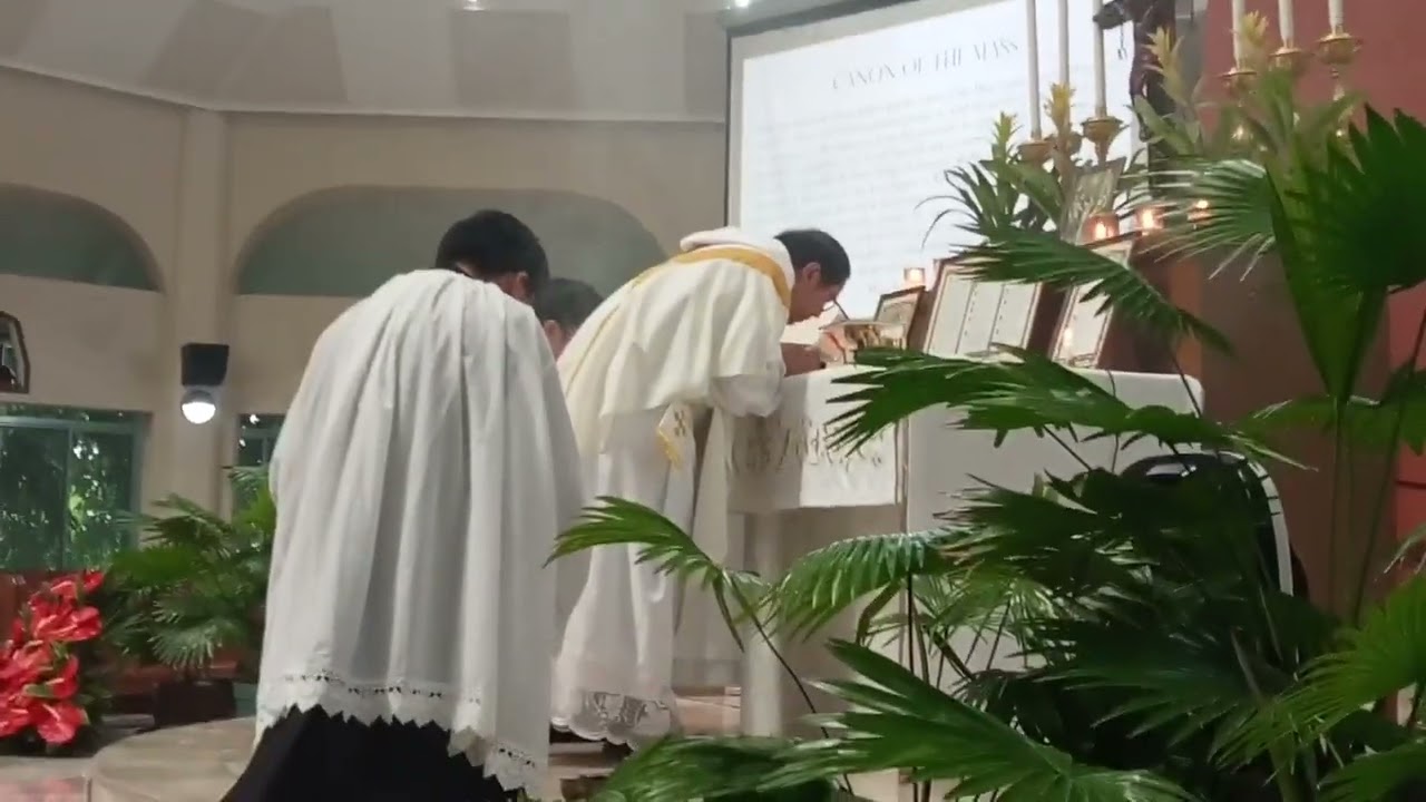 Elevation of the Host: Traditional Latin Mass for Trinity Sunday