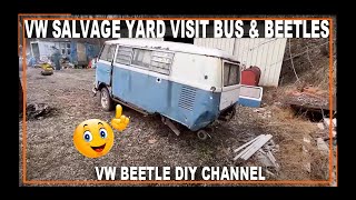 VW Beetle Salvage Yard Visit  Forgotten VW Bus  Dune Buggy  VW Bug  #vwbeetle #sladesbeetle