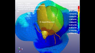 LS-DYNA FINITE ELEMENT ANALYSIS - Lady bug landing abruptly on a flower