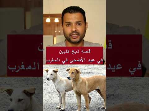قصة التضحية بكلبين خلال عيد الأضحى في المغرب احتجاجا على قرار الحسن الثاني