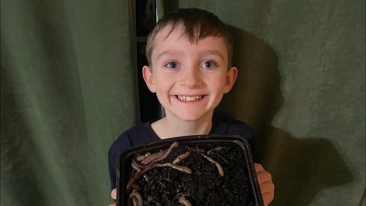 Catching night crawlers for a future trout fishing trip.