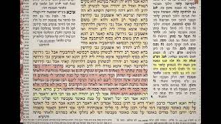 גיטין עד דף יומי מסכת גיטין דף עד Daf yomi Gittin   74 Daf