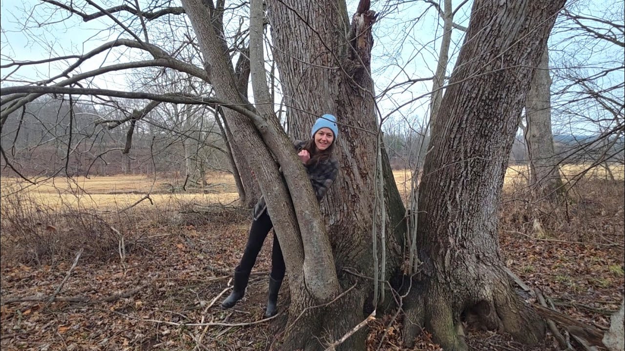 Tree talk, rock walk 