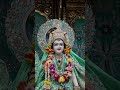 Shree Radha Radha #krishna​​​​​​​​​​​​​ #govardhan​​​​​​​​​​​​​ #vrindavan​​​​​​​​​​​​​ #premmandir