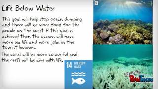 SDG Presentation