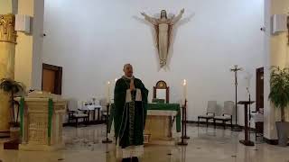 XV Domingo Del Tiempo Ordinario