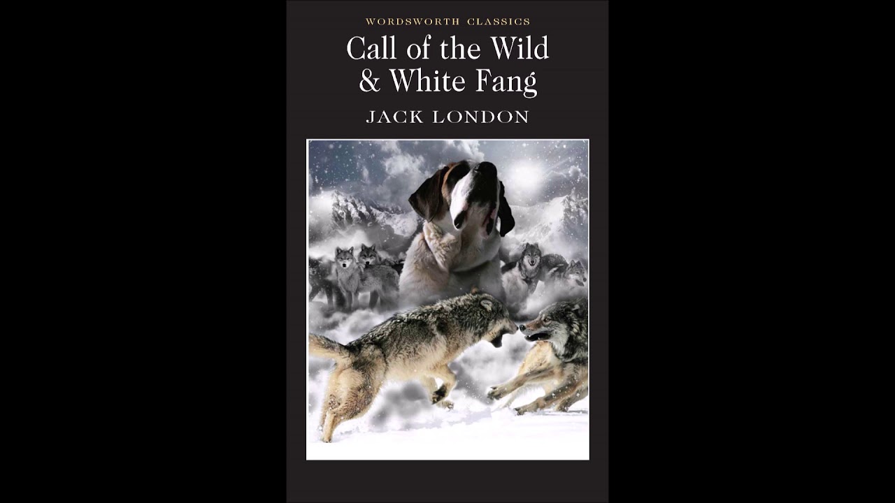 Call of the Wild Chapter 3 by Jack London - YouTube