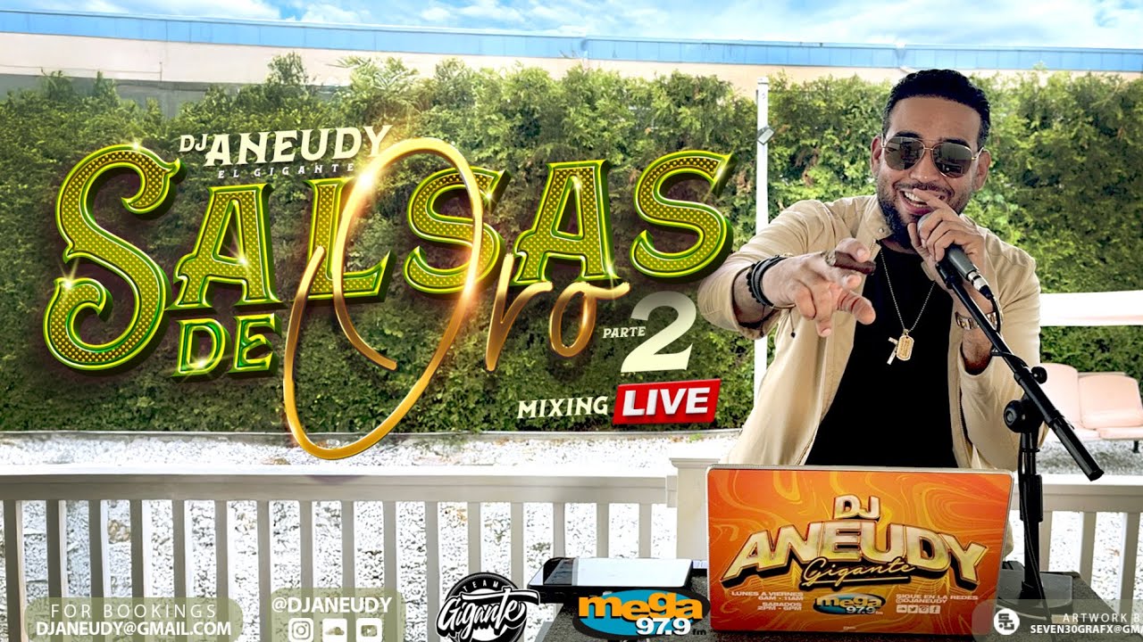 Salsas De Oro Mix Part 2 - Solo Palos Agosto 2025 - YouTube