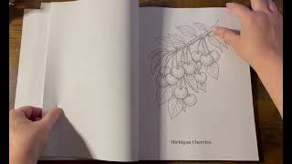 The Great State Of Michigan By Mama T Coloring Books Flip