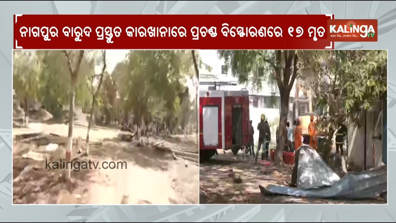 17 Killed in Blast at Explosives Manufacturing Unit Near Nagpur During Detonator Production