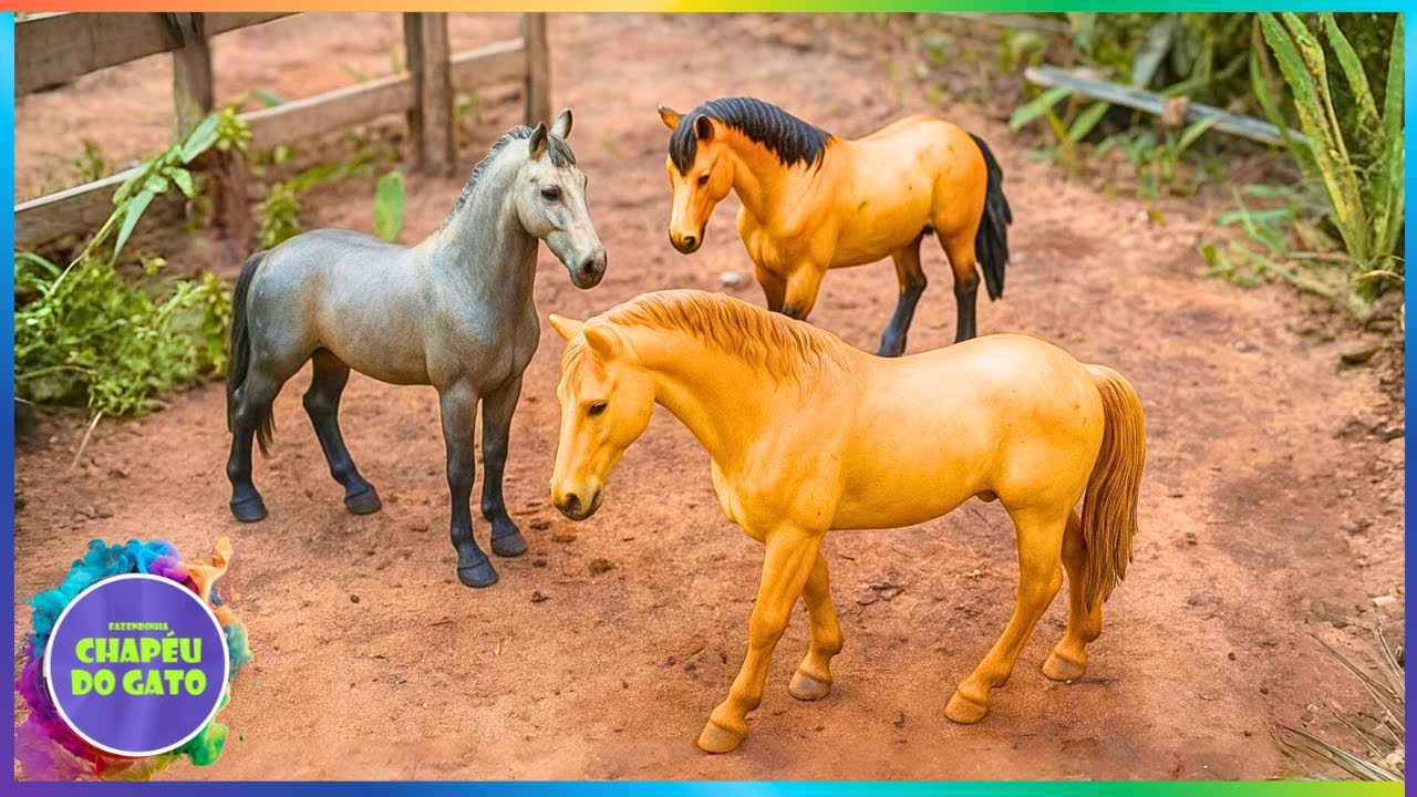 DOMANDO OS NOVOS CAVALOS DA FAZENDA!