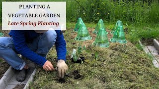 Planting a Veggie Garden? Find Out What We Planted in This Video!