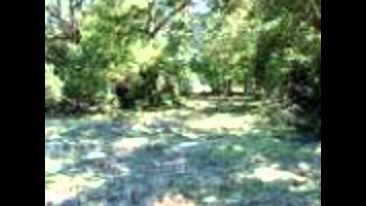 Old Redwood Hwy Windsor, CA 95492