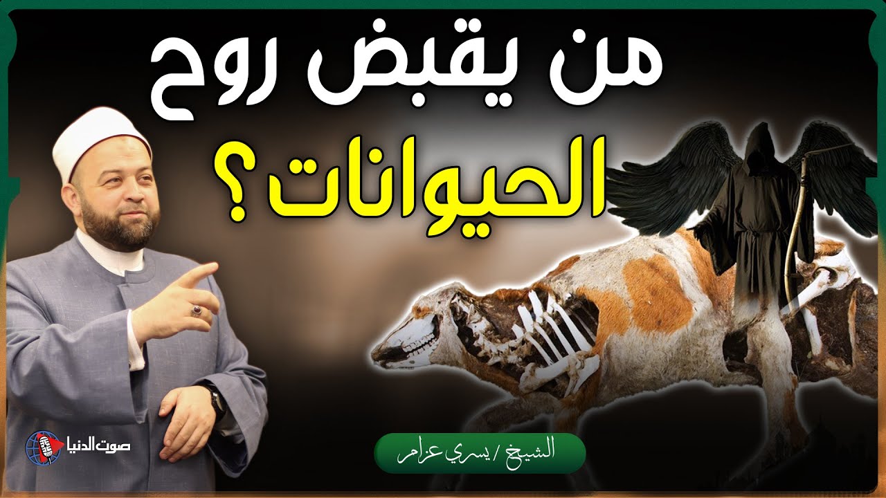 من يقبض روح الحيوانات وما مصيرها بعد الموت ؟