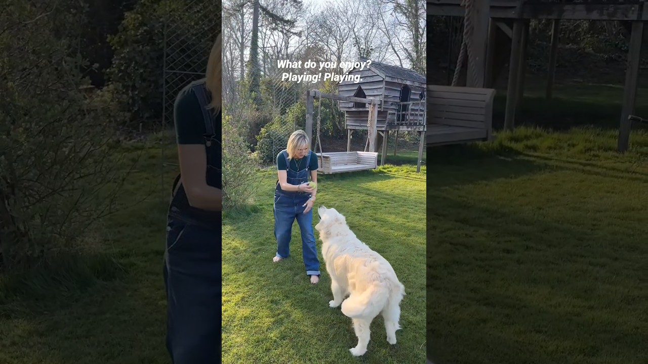 Jo Whiley, Sue Kent and Dame 