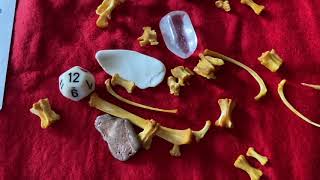 Bone Reading August 2020