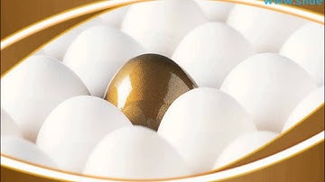 Golden Egg Leadership PowerPoint Templates Themes And Backgrounds Graphic designs