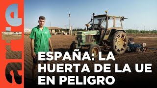 Escasez de agua en España: la "huerta de Europa" en peligro | ARTE.tv Documentales