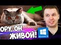 ПАПИЧ УСТАНОВИЛ ЖИВЫЕ ОБОИ ДЛЯ WINDOWS 10 на Рабочий стол!