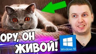 ПАПИЧ УСТАНОВИЛ ЖИВЫЕ ОБОИ ДЛЯ WINDOWS 10 на Рабочий стол! screenshot 4