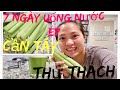 Vlog 534 ll THỬ THÁCH 7 NGÀY UỐNG NƯỚC ÉP "CẦN TÂY" KHI BỤNG ĐÓI VÀ CÁI KẾT??